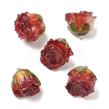 Brass Epoxy Resin Pendants X-FIND-D043-01G-02-1