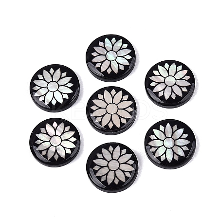 Acrylic & Natural Freshwater Shell Cabochons OACR-N164-06-1
