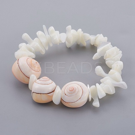 Natural Spiral Shell Beads Stretch Bracelets BJEW-JB03997-02-1