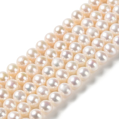 Natural Cultured Freshwater Pearl Beads Strands PEAR-E018-65-1