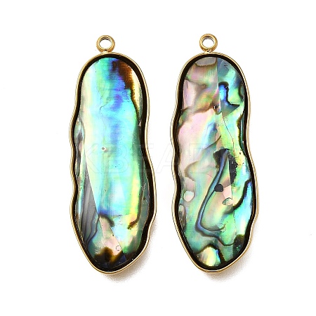 304 Stainless Steel Pave Natural Paua Shell Pendants STAS-Z125-01C-G-1