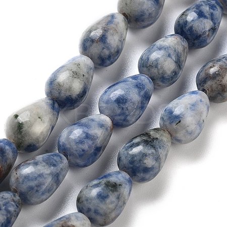 Natural Blue Spot Jasper Beads Strands G-B106-A15-02-1