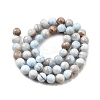 Natural Striped Stone Beads Strands G-D315-A01-01-10mm-3
