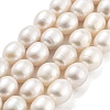 Natural Cultured Freshwater Pearl Beads Strands PEAR-P062-13E-2