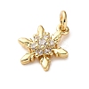 Brass Micro Pave Cubic Zirconia Pendants LS-KK-I383-05G-06-2