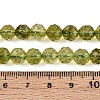 K9 Glass Beads Strands GLAA-N014-8mm-03-4
