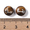 Natural Tiger Eye Beads G-L524-20L-02-3