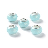 Pearlized Resin European Beads RESI-M001-01A-1