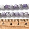 Natural Purple Turquoise Beads Strands G-L595-C04-01-5