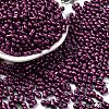 Baking Paint Glass Seed Beads SEED-L011-12A-13-1