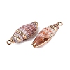 Electroplated Golden Brass Trim Natural Spiral Shell Pendants SSHEL-N042-39-2