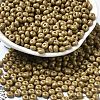 Baking Paint Glass Seed Beads X1-SEED-B001-02A-18-1