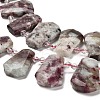 Natural Plum Blossom Tourmaline Beads Strands G-H078-A01-02-3