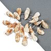 Natural Shell Beads Strands SHEL-K009-12-2