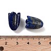 Natural Lapis Lazuli Beads G-A222-03I-5