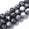 Natural Labradorite Beads Strands G-N328-49D-01-1