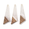 Resin & Wood Pendants WOOD-F015-15B-1