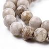 Natural Maifanite/Maifan Stone Beads Strands G-F353-8mm-6