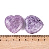 Natural Lepidolite Healing Stones G-G020-01Y-3