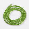 Glass Beads Strands EGLA-E057-02B-13-2