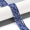 Natural Sodalite Beads Strands X-G-G139-A07-02-2