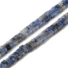 Natural Blue Spot Jasper Beads Strands G-Z045-A08-01-1