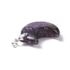 Natural Amethyst Pendants G-Z022-04C-3