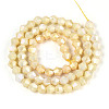 Anti-Tarnish Electroplate Bicone Glass Beads Strands EGLA-T021-6mm-16-05-2