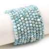 Natural Larimar Beads Strands G-K376-A03-4mm-2