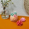 Potted Succulent DIY Food Grade Silicone Mold PW-WG17181-02-2