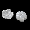 Dyed & Heated Gradient Color Glass Bead Cap GLAA-D307-01L-2