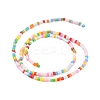 Handmade Lampwork Beads Strands LAMP-L078-008N-4