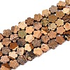 Natural Picture Jasper Beads Strands G-N257-24A-08-2