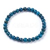 Natural Apatite Stretch Bracelets BJEW-JB03738-03-1