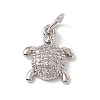 Brass Micro Pave Cubic Zirconia Charms ZIRC-F132-27P-1