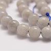 Natural Labradorite Bead Strands G-P259-05-8mm-3