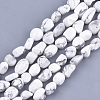 Natural Howlite Beads Strands G-T105-30-1