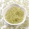 Luminous Glass Seed Beads SEED-A033-07K-3