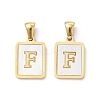 Ion Plating(IP) 304 Stainless Steel Pave Shell Pendants X-STAS-G327-01G-F-1