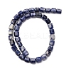 Natural Sodalite Beads Strands G-R015-A03-3