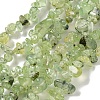 Natural Prehnite Beads Strands X-G-P332-41A-1