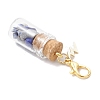 Natural Lapis Lazuli Chips inside Glass Wishing Bottle Pendant Decoration HJEW-JM03307-03-5