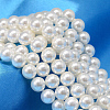 Round Shell Pearl Bead Strands BSHE-L011-10mm-A013-1