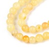 Natural Yellow Amber Beads Strands G-N351-04A-01-3