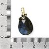Natural Labradorite Faceted Teardrop Pendants KK-D021-03F-G-3