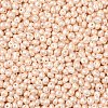 6/0 Glass Seed Beads SEED-L011-08A-24-3