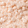 Opaque Colours Luster Glass Seed Beads SEED-E001-P3x6mm-A07-3
