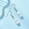 Round Natural Selenite Dangle Earrings EJEW-JE06781-01-1