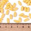Opaque Colours Glass Seed Beads SEED-T007-16B-4