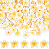 100Pcs Handmade Polymer Clay 3D Flower Plumeria Beads CLAY-SC0002-48C-1